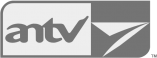 antv 180 grayscale plane