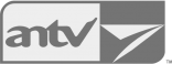 antv 180 grayscale plane